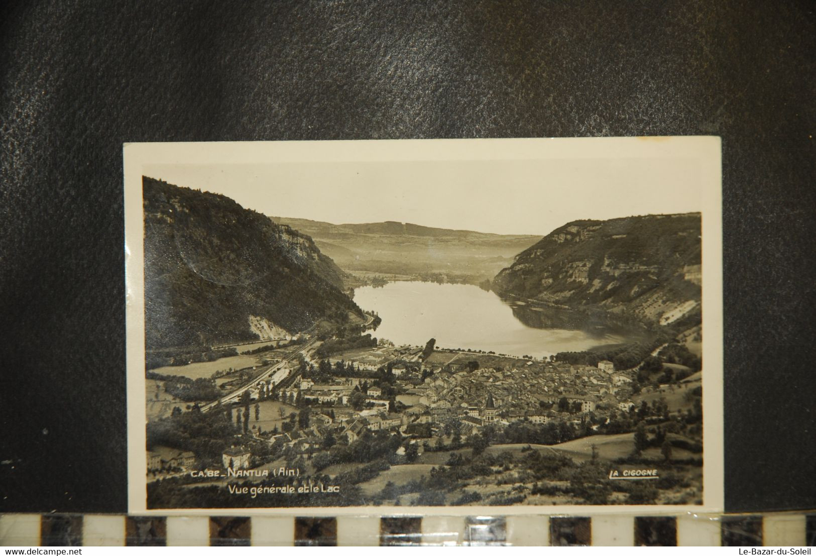 CP, 01, NANTUA - Vue Générale Et Le Lac - Nantua