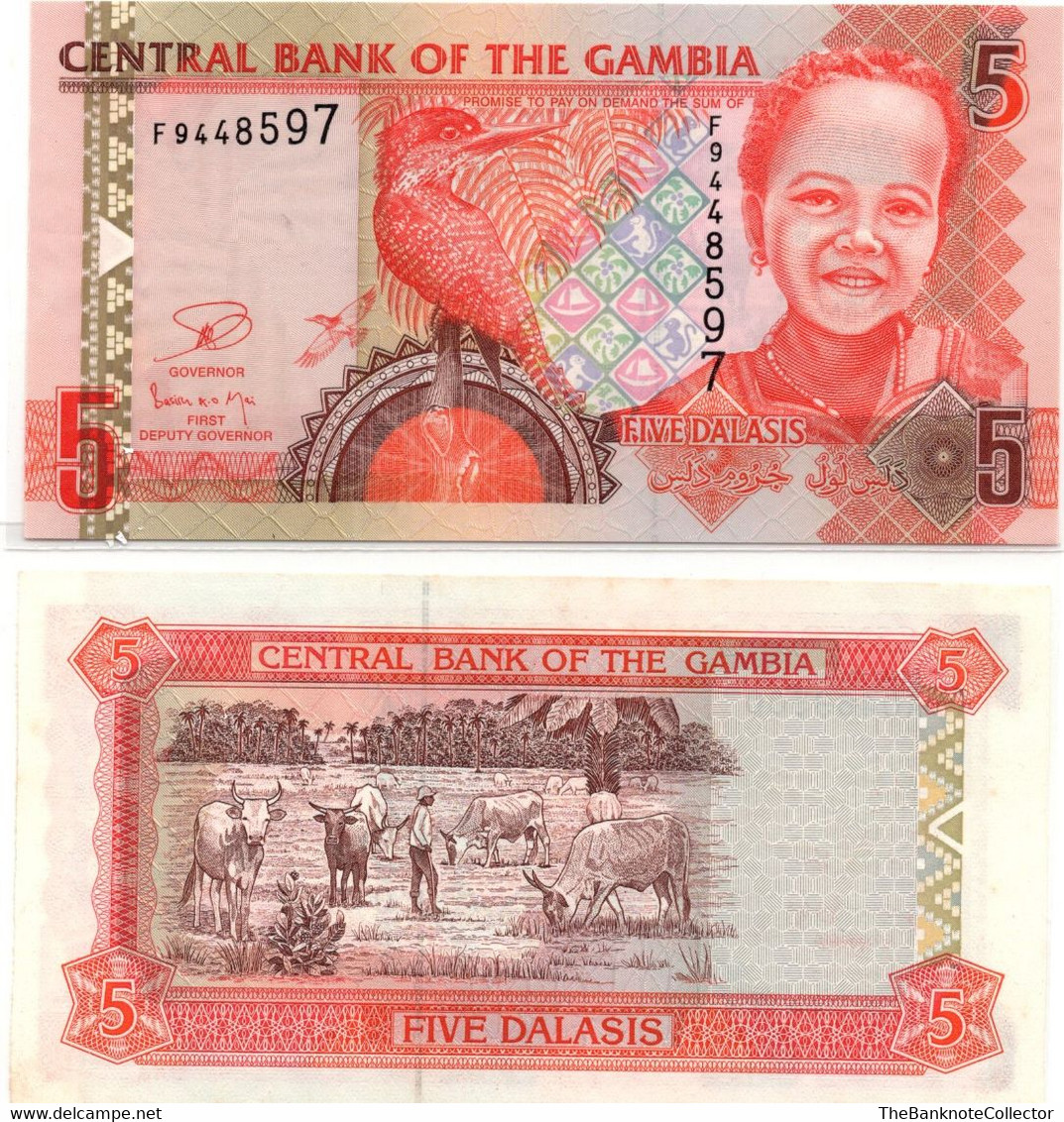 Gambia 5 Dalasis ND 2001 P-20 UNC - Gambia