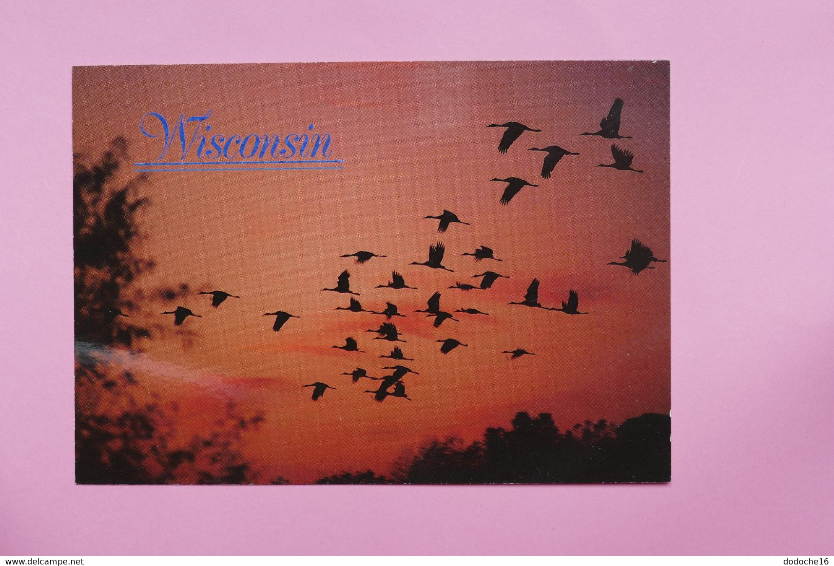 WISCONSIN - Sandhill Cranes At Sunset - Racine