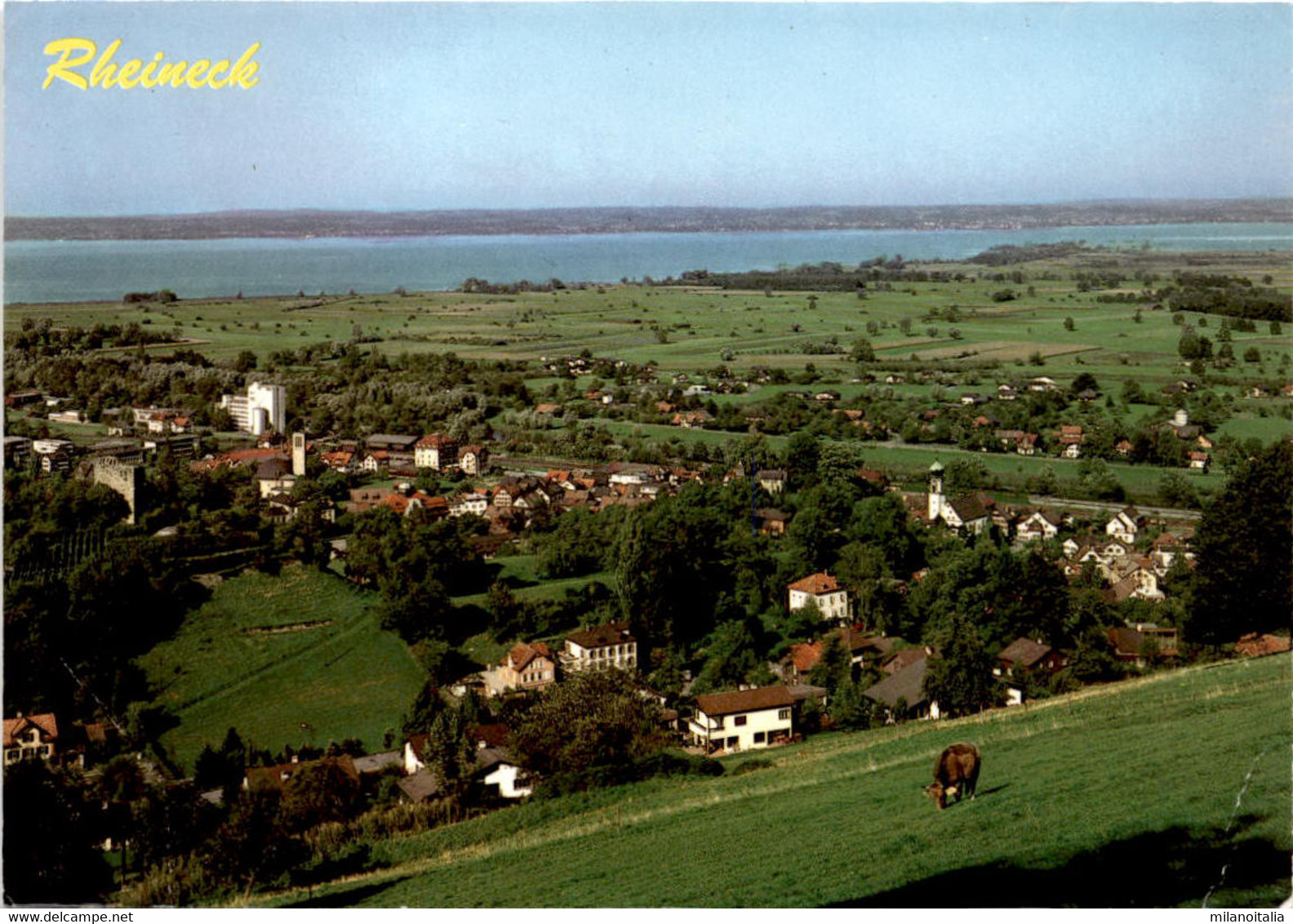 Rheineck SG Mit Bodensee (39807) * 5. 6. 1990 - Rheineck