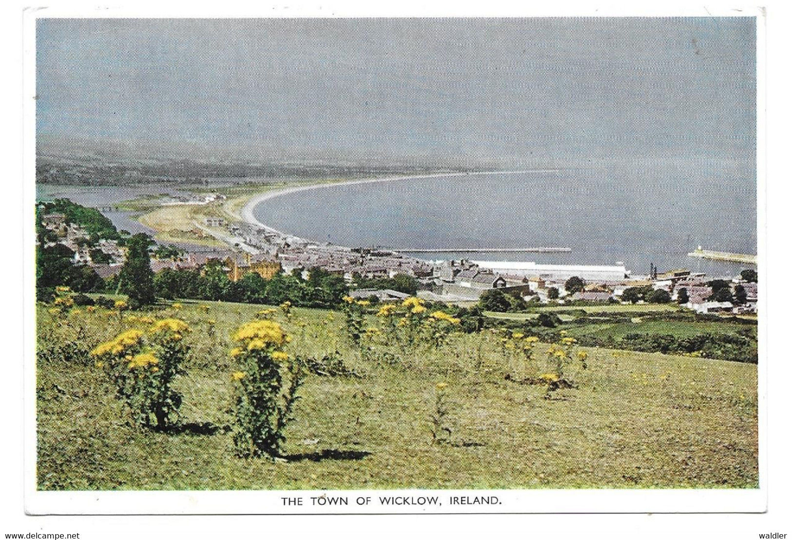 THE TOWN OF WICKLOW - Wicklow