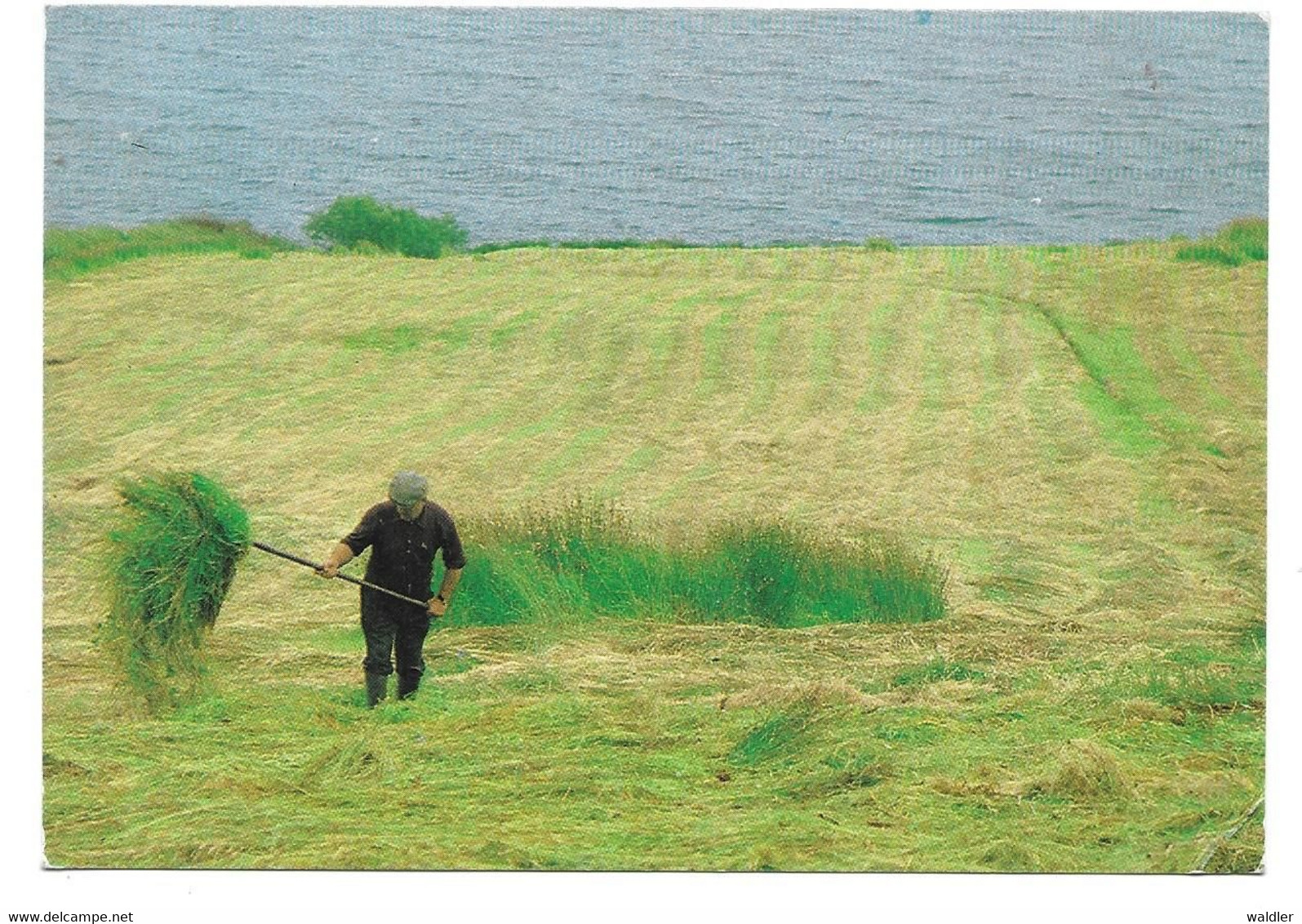 SHAKING THE HAY ON THE COAST NEAR KILLYBEGS - Donegal