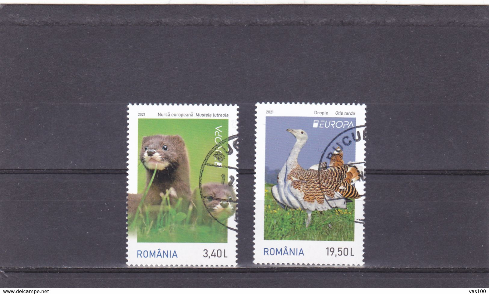 RUMANIA /ROMANIA / RUMÄNIEN -EUROPA 2021 -ENDANGERED NATIONAL WILDLIFE", Stamp Full Set Used. - Usati