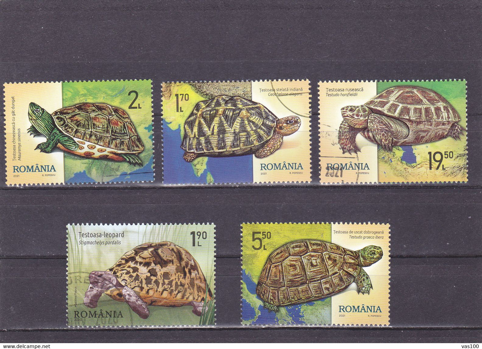 ROMANIA 2021 -  5 STAMPS TURTLES , Stamp Used. - Oblitérés