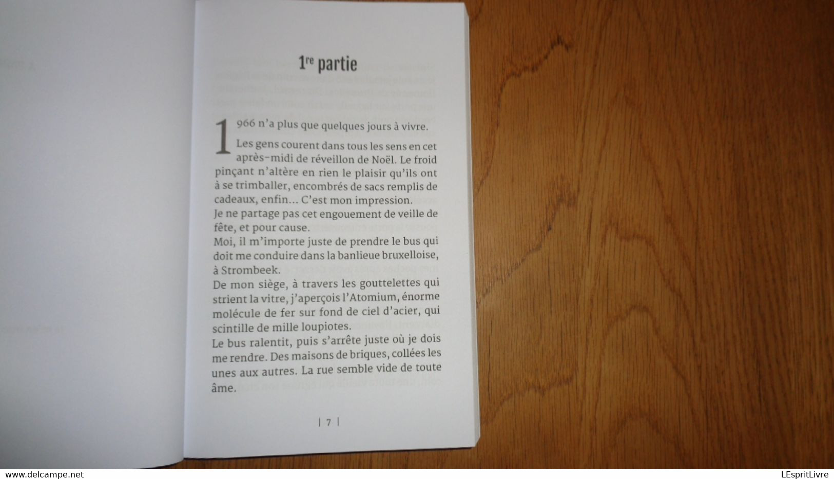 UN PERE IRREPROCHABLE Jean Pierre Echterbille Auteur Belge Etterbeek Virton Gaume Histoire Familliale Roman Belgique - Belgian Authors