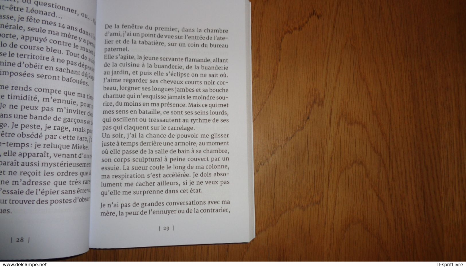 UN PERE IRREPROCHABLE Jean Pierre Echterbille Auteur Belge Etterbeek Virton Gaume Histoire Familliale Roman Belgique - Belgian Authors