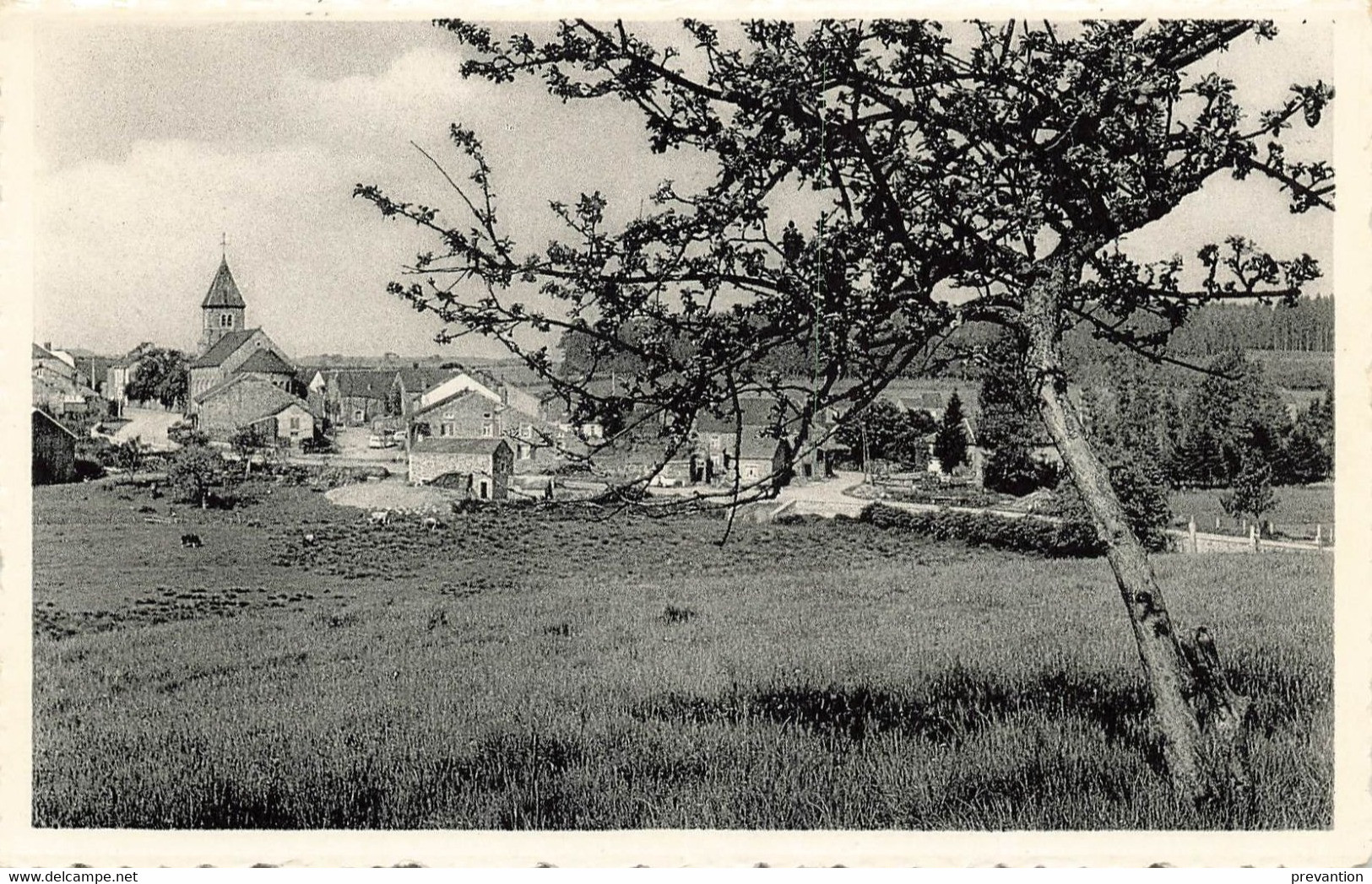 NAOME (Photo Carte) - Bièvre