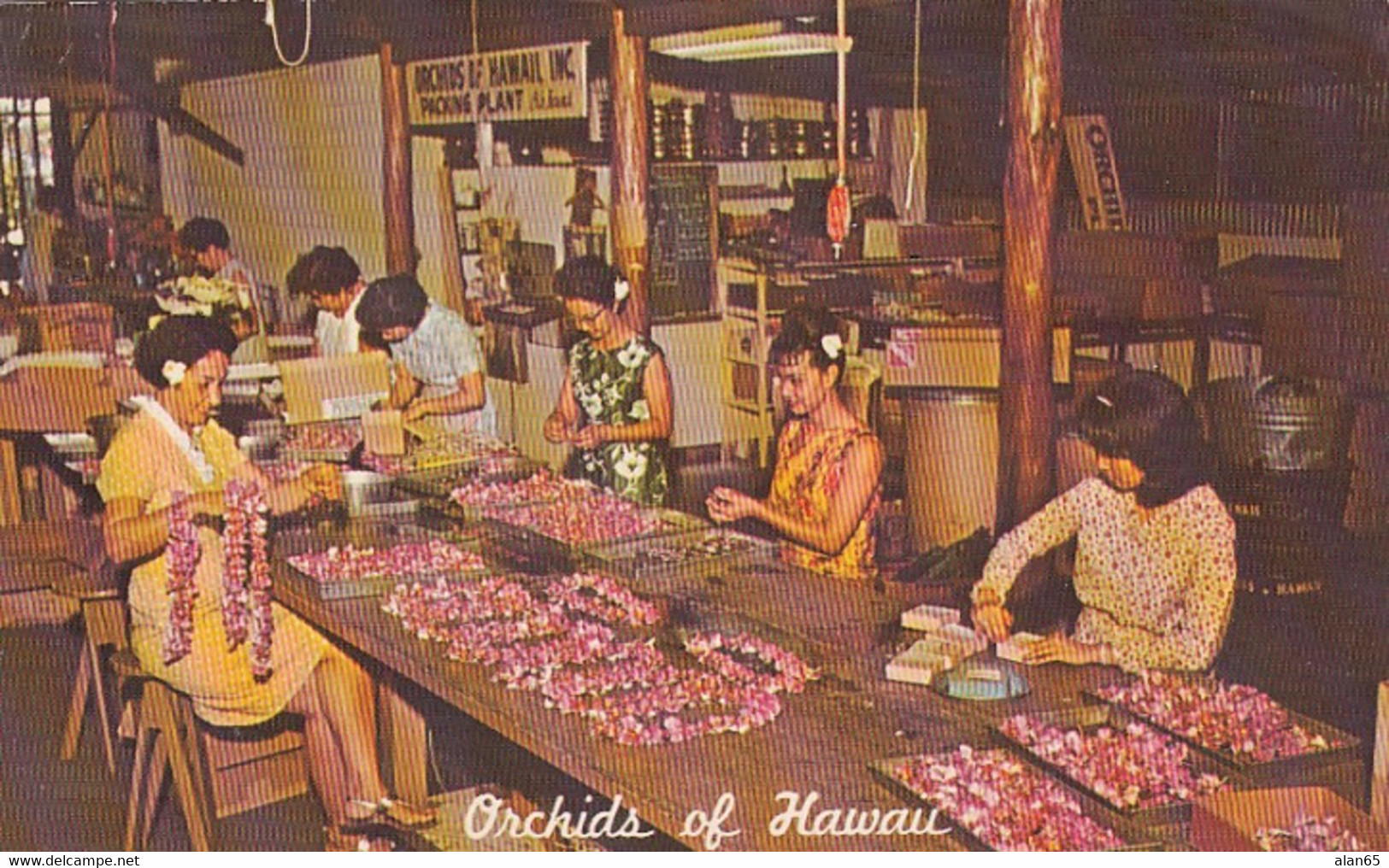 Hilo Hawaii, Orchids Of Hawaii Company, Women Pack Flowers Make Leis, C1960s Vintage Postcard - Hilo