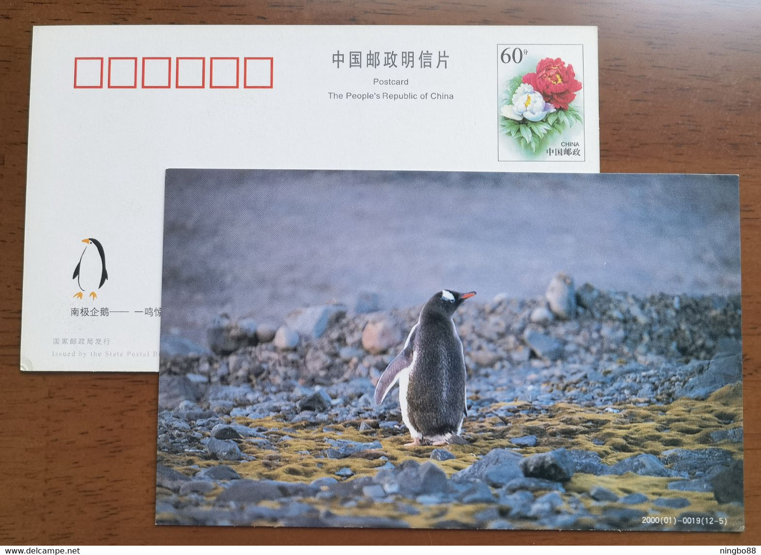 China 2000 Antarctic Penguin Postal Stationery Card #11 - Fauna Antartica