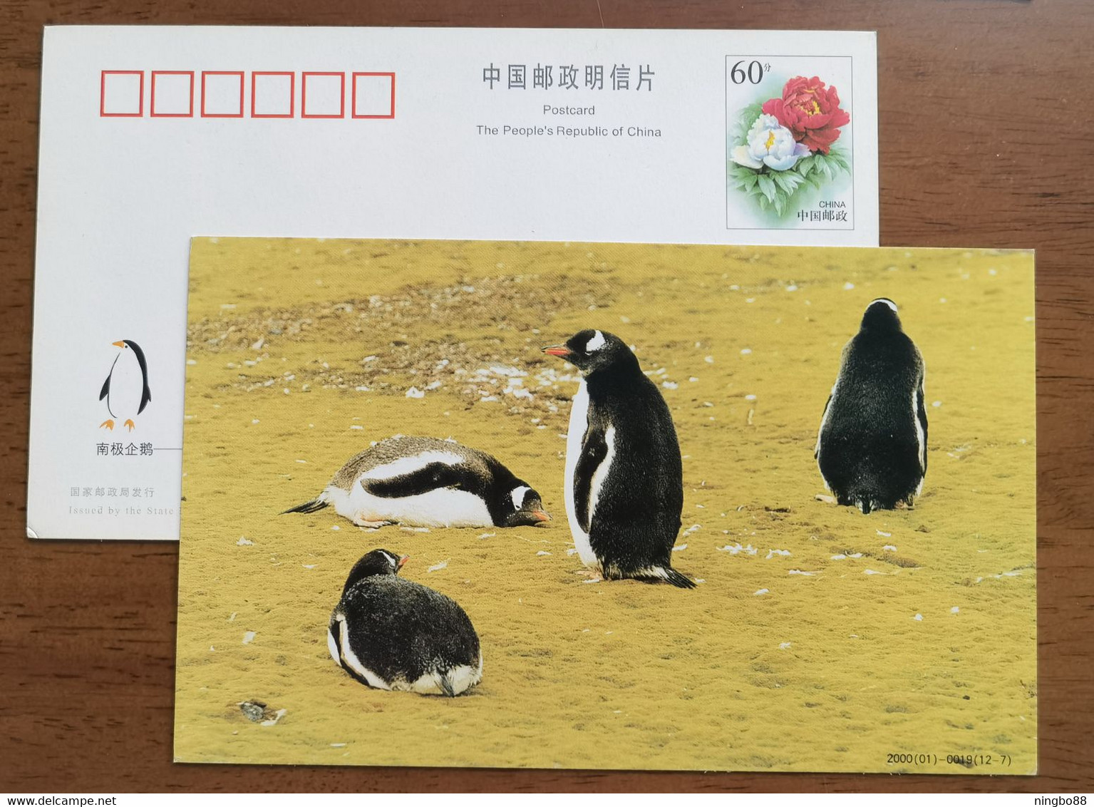 Gentoo Penguin(Pygoscelis Papua),China 2000 Antarctic Penguin Postal Stationery Card #2 - Faune Antarctique