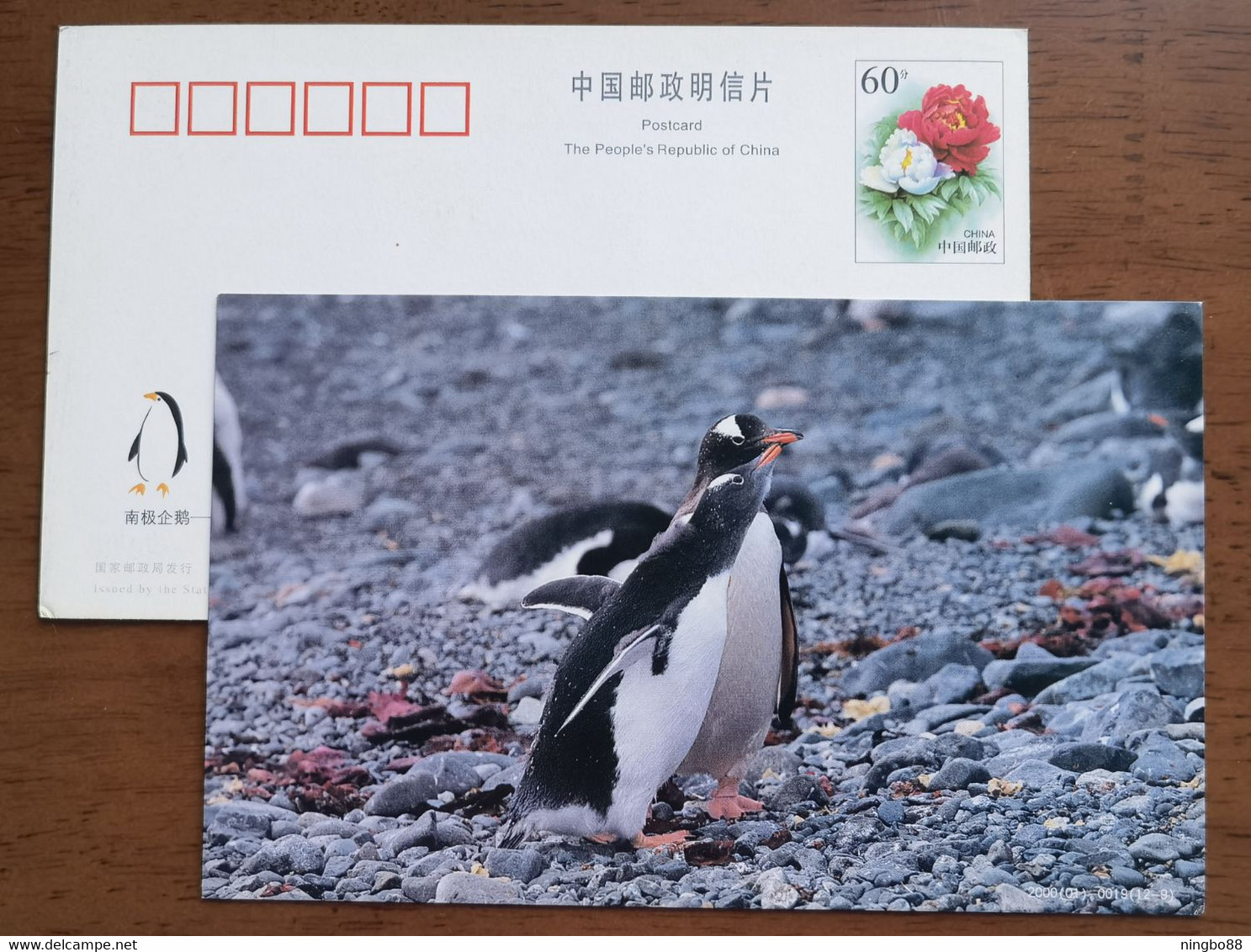 Gentoo Penguin(Pygoscelis Papua),China 2000 Antarctic Penguin Postal Stationery Card #5 - Fauna Antartica