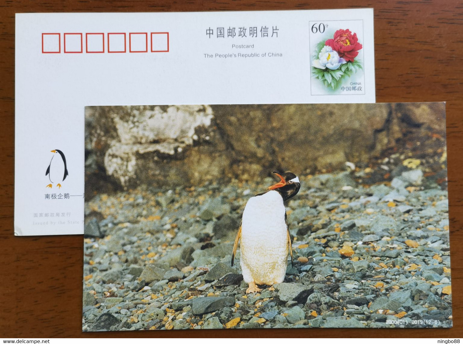 Gentoo Penguin(Pygoscelis Papua),China 2000 Antarctic Penguin Postal Stationery Card #1 - Faune Antarctique