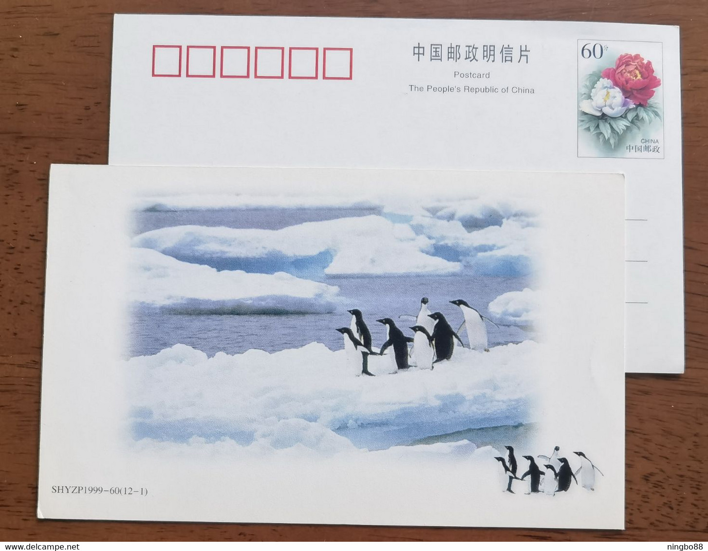 China 1999 New Year Greeting Pre-stamped Card Antarctic Penguin - Fauna Antartica
