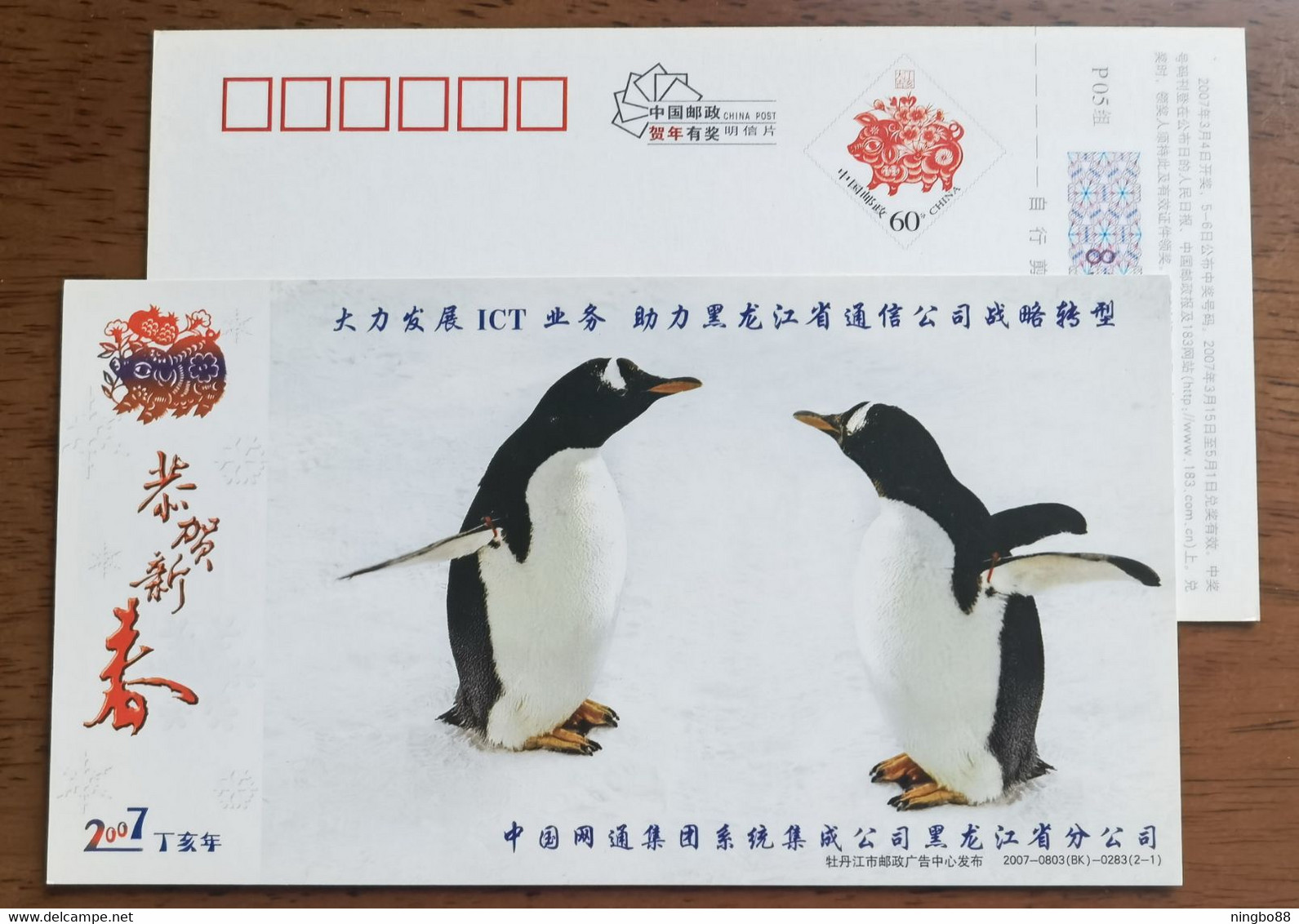 Penguin,China 2007 China CNC Group Developing ICT Business Advertising Pre-stamped Card - Faune Antarctique
