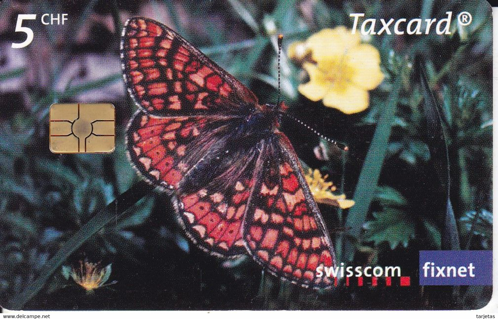 TARJETA DE SUIZA DE UNA MARIPOSA (BUTTERFLY) - Papillons