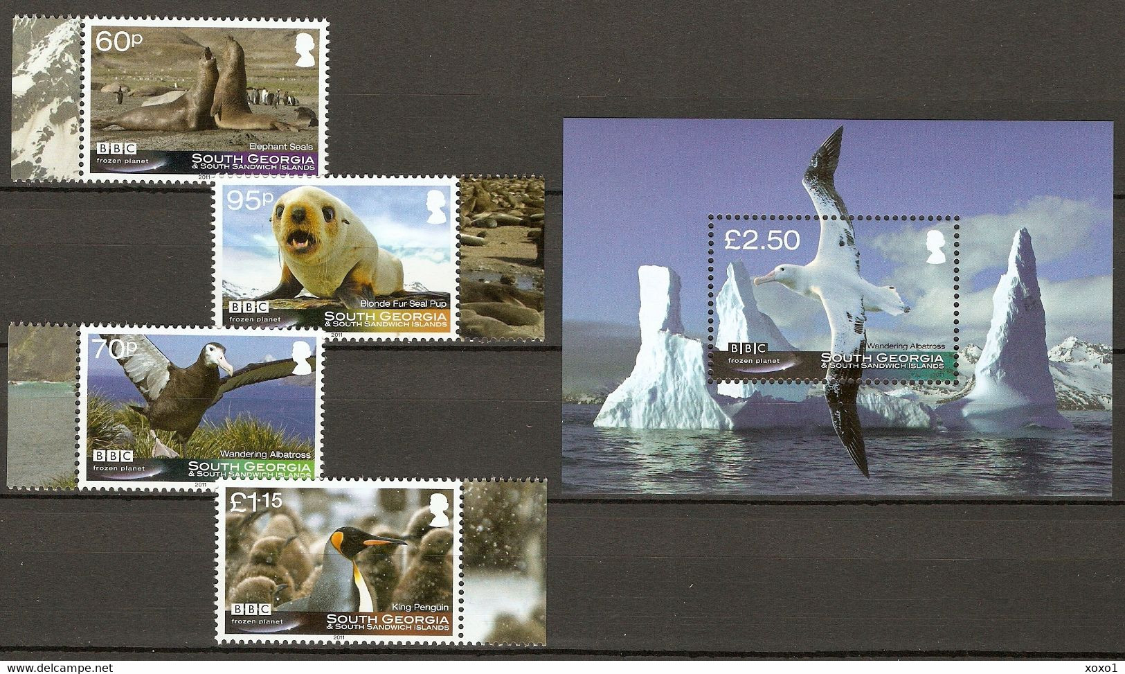 South Georgia 2011 MiNr. 537 - 540 (Block 22) Süd-Georgien BBC Frozen Planet Birds Marin Mammals 4v +1s\sh MNH** 23,50 € - Fauna ártica