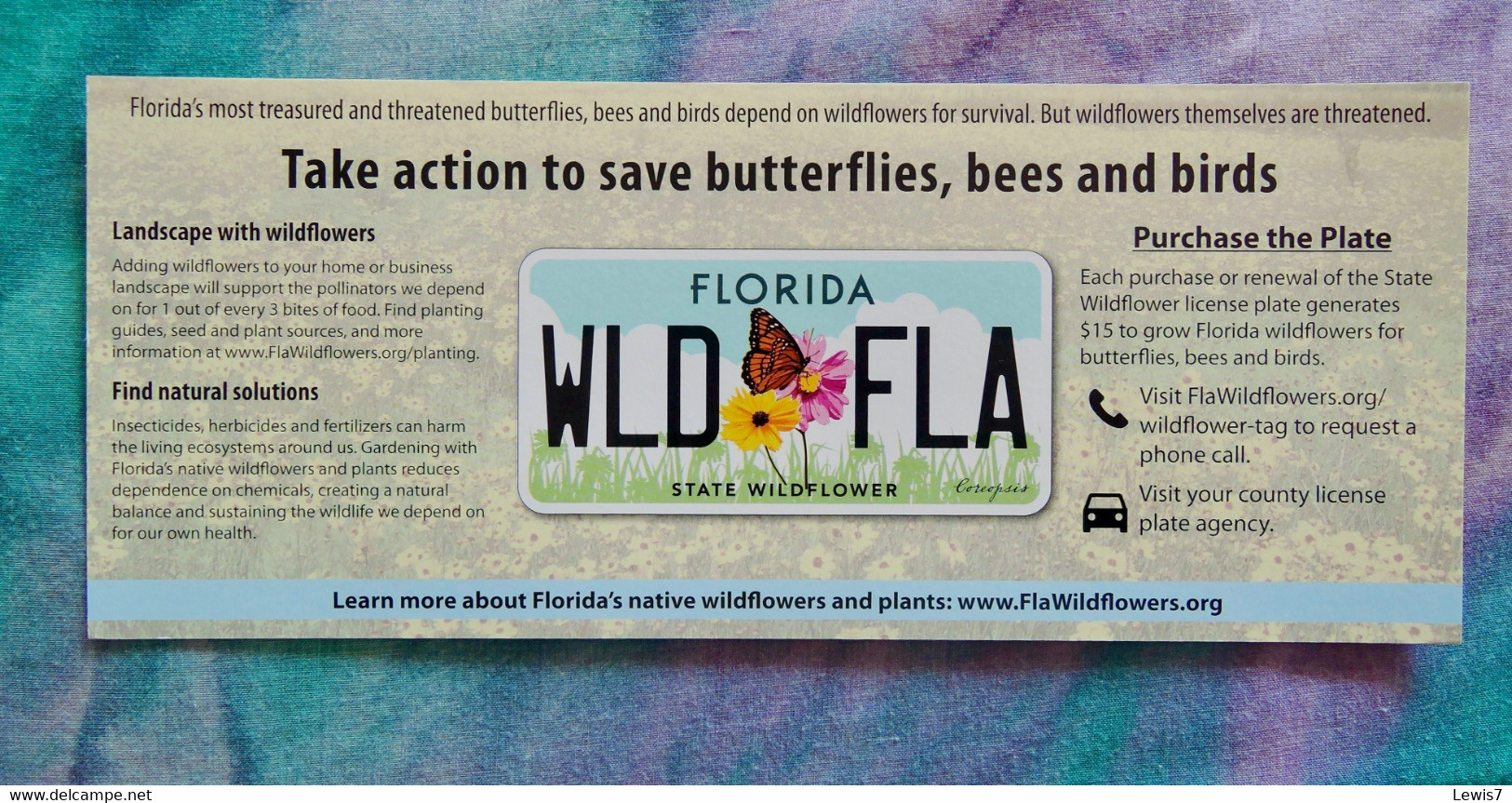 Card For Plate-number Butterflies Protection - Florida - U.S.A. - Plaques D'immatriculation