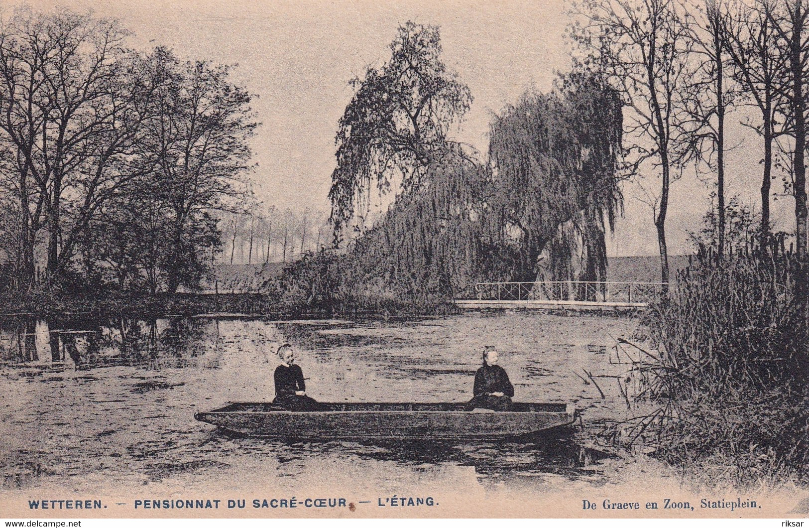 BELGIQUE(WETTEREN) ARBRE - Wetteren