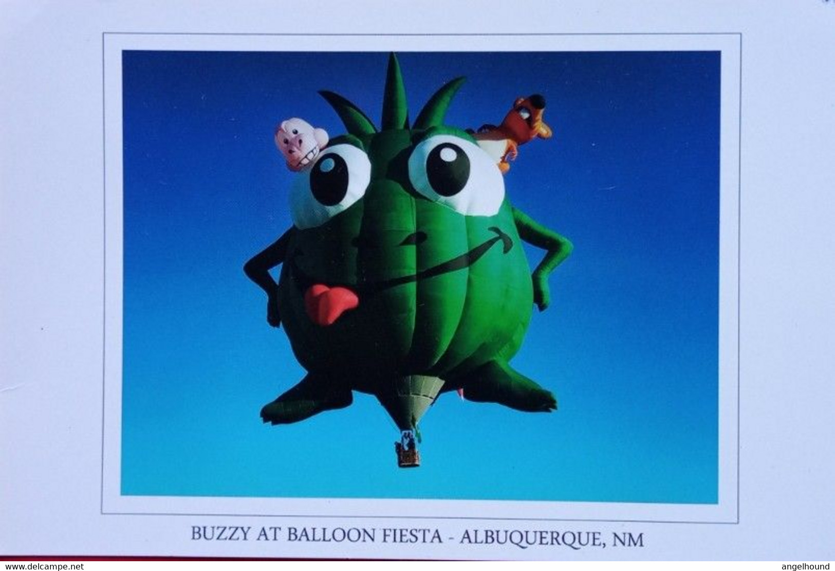Buzzy At Ballon Festival, Albuquerque, NM - Albuquerque