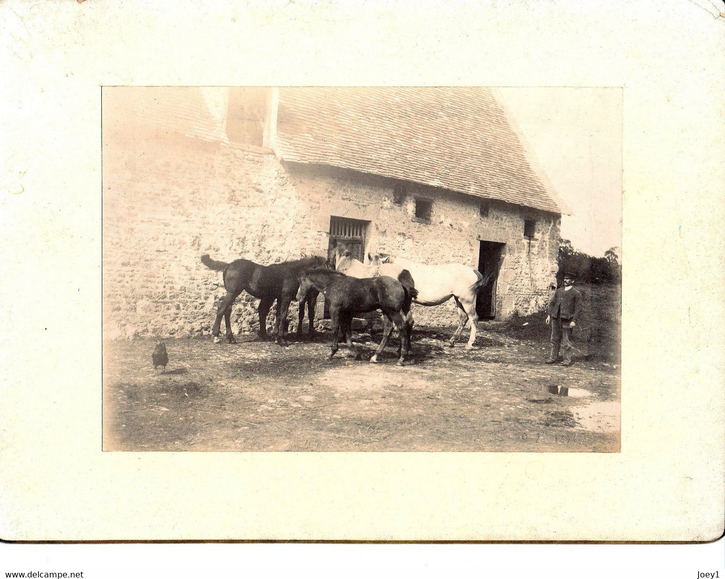 Photo Chevaux Devant Une Ferme, Albuminée Contre Collée, Format 17/12 - Anciennes (Av. 1900)