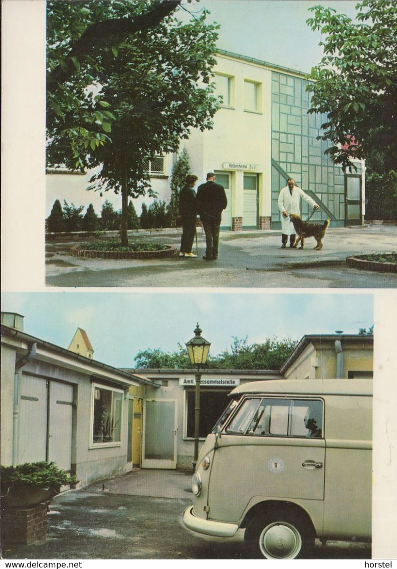 D-12249 Berlin - Tierheim Lankwitz (bis 2001) - Car - VW Bus - Lankwitz