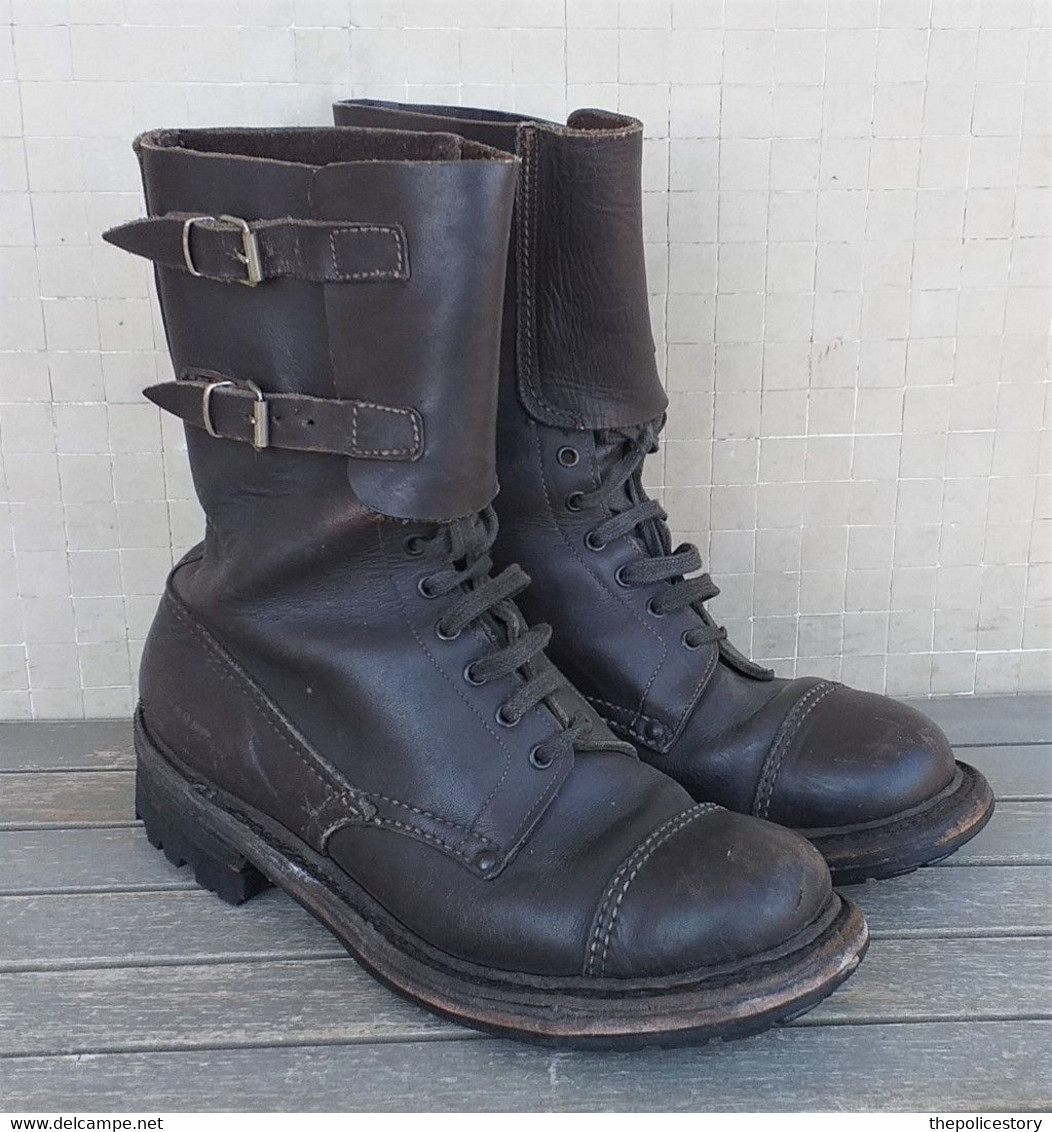 Anfibi originali sales