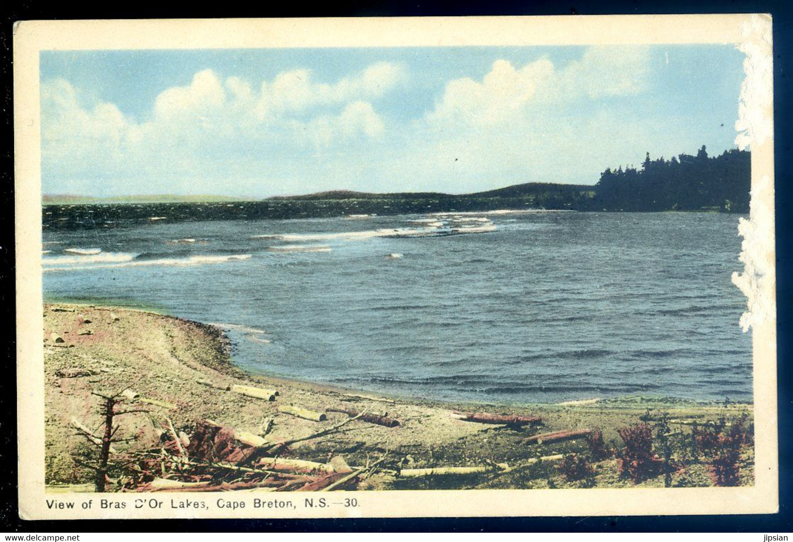 Cpa Du Canada Cape Breton -- View Of Bras D'Or Lakes   FEV22-54 - Cape Breton