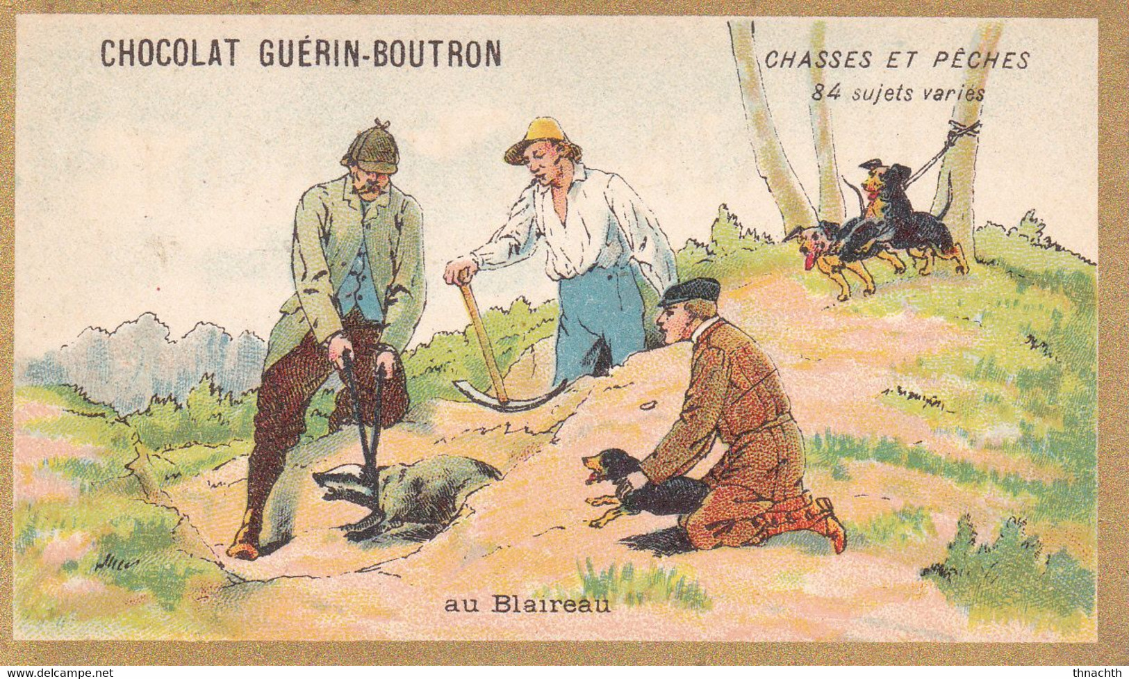 Chromo CHOCOLAT GUERIN BOUTRON - Chasses Et Pêches Au Blaireau - Guérin-Boutron