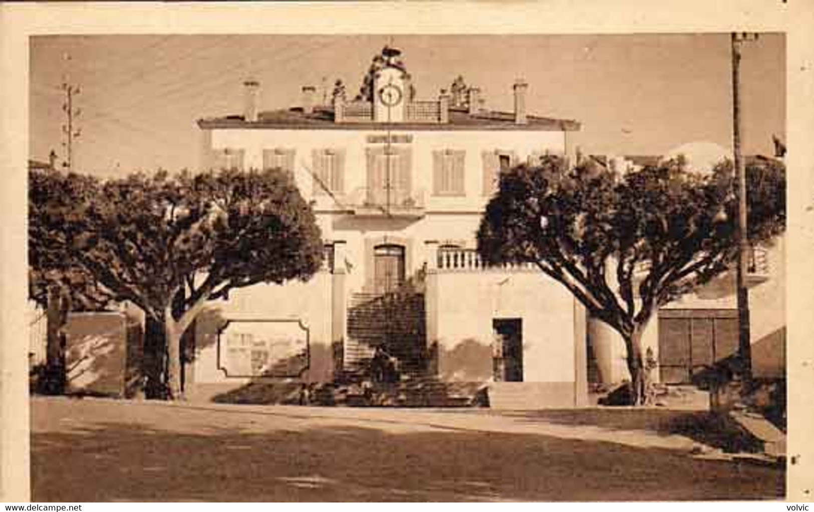 ALGERIE - CASTIGLIONE - La Mairie - - Other & Unclassified