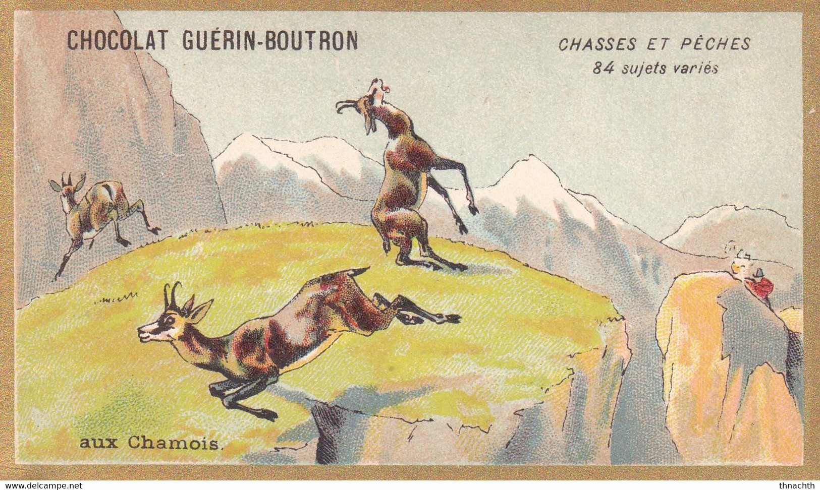 Chromo CHOCOLAT GUERIN BOUTRON - Chasses Et Pêches Aux Chamois - Guerin Boutron