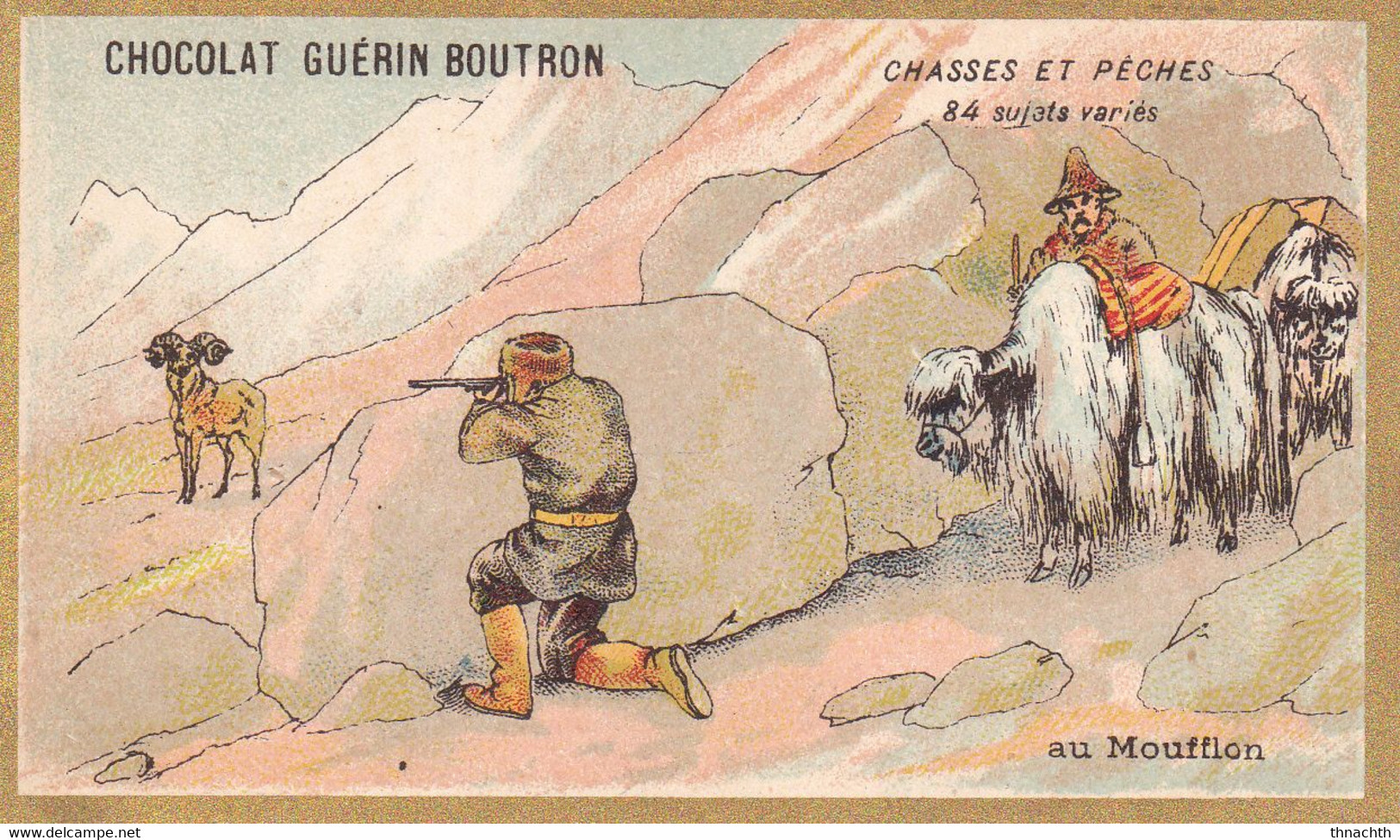 Chromo CHOCOLAT GUERIN BOUTRON - Chasses Et Pêches Au Moufflon - Guerin Boutron