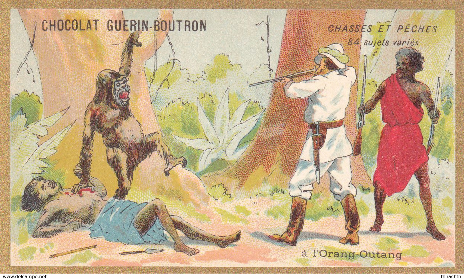 Chromo CHOCOLAT GUERIN BOUTRON - Chasses Et Pêches à L' Orang Outang - Guérin-Boutron