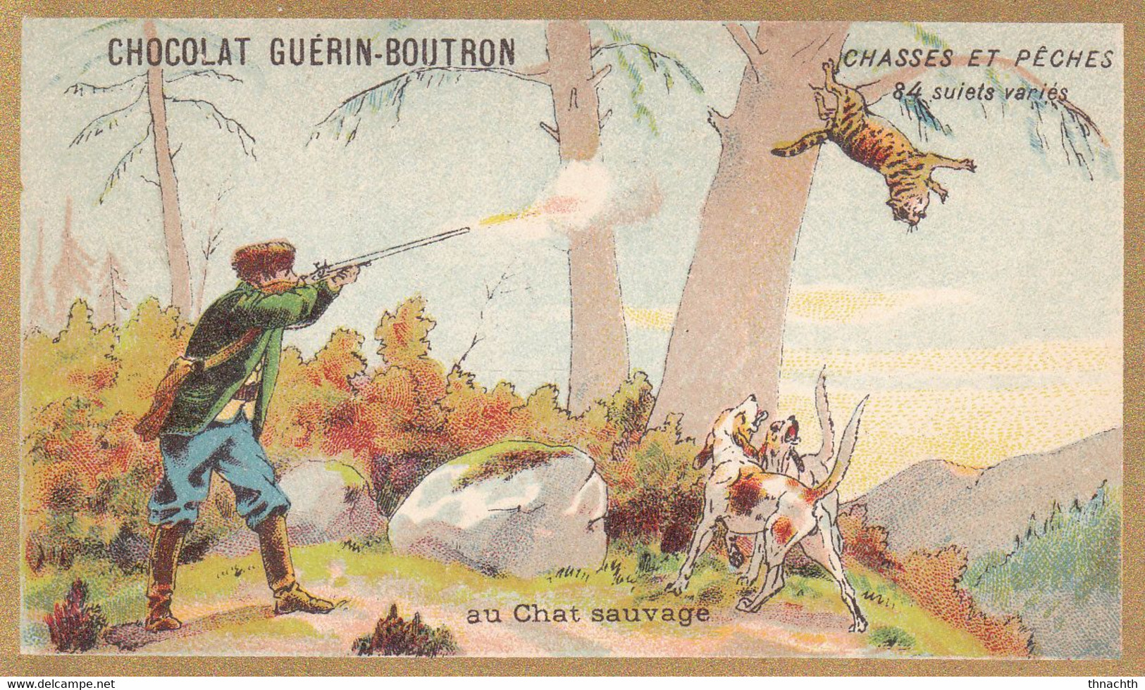 Chromo CHOCOLAT GUERIN BOUTRON - Chasses Et Pêches Au Chat Sauvage - Guerin Boutron