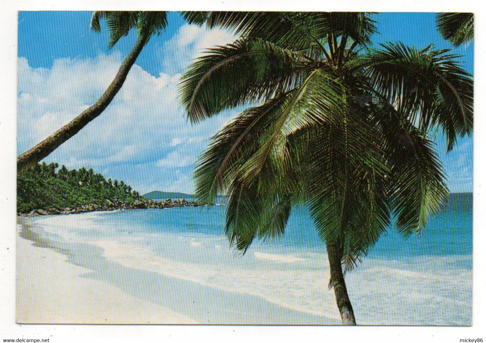 SEYCHELLES --PETITE ANSE --La Digue  (plage , Cocotiers )......à Saisir - Seychellen