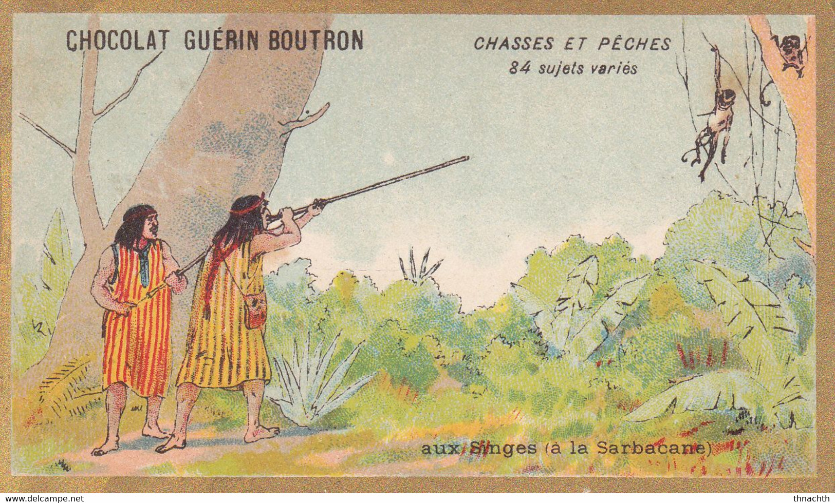 Chromo CHOCOLAT GUERIN BOUTRON - Chasses Et Pêches Aux Singes - Guerin Boutron