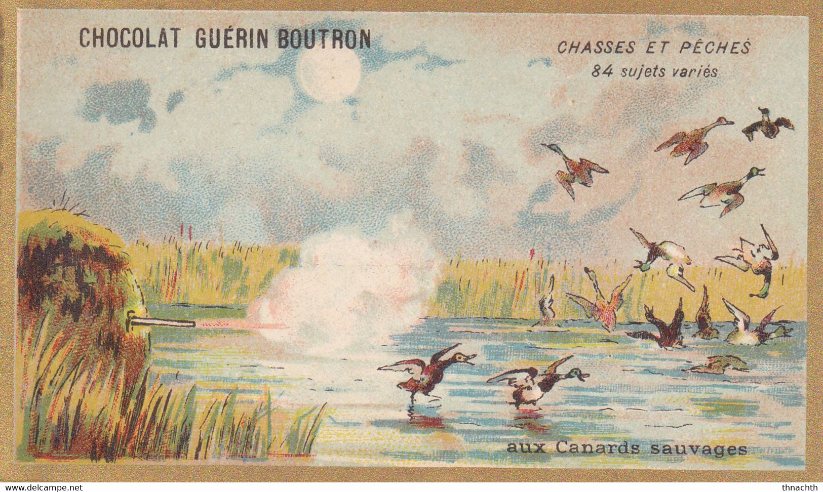 Chromo CHOCOLAT GUERIN BOUTRON - Chasses Et Pêches Aux Canards - Guérin-Boutron