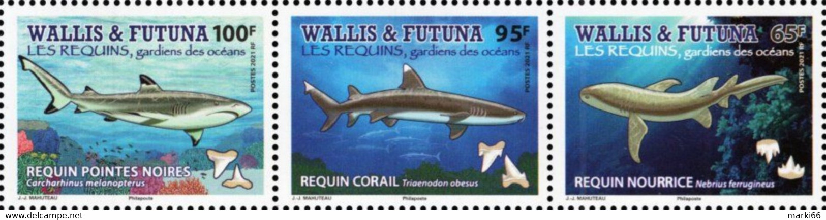 Wallis & Futuna - 2021 - Ocean Sharks - Mint Stamp Set (se-tenant Strip) - Nuevos