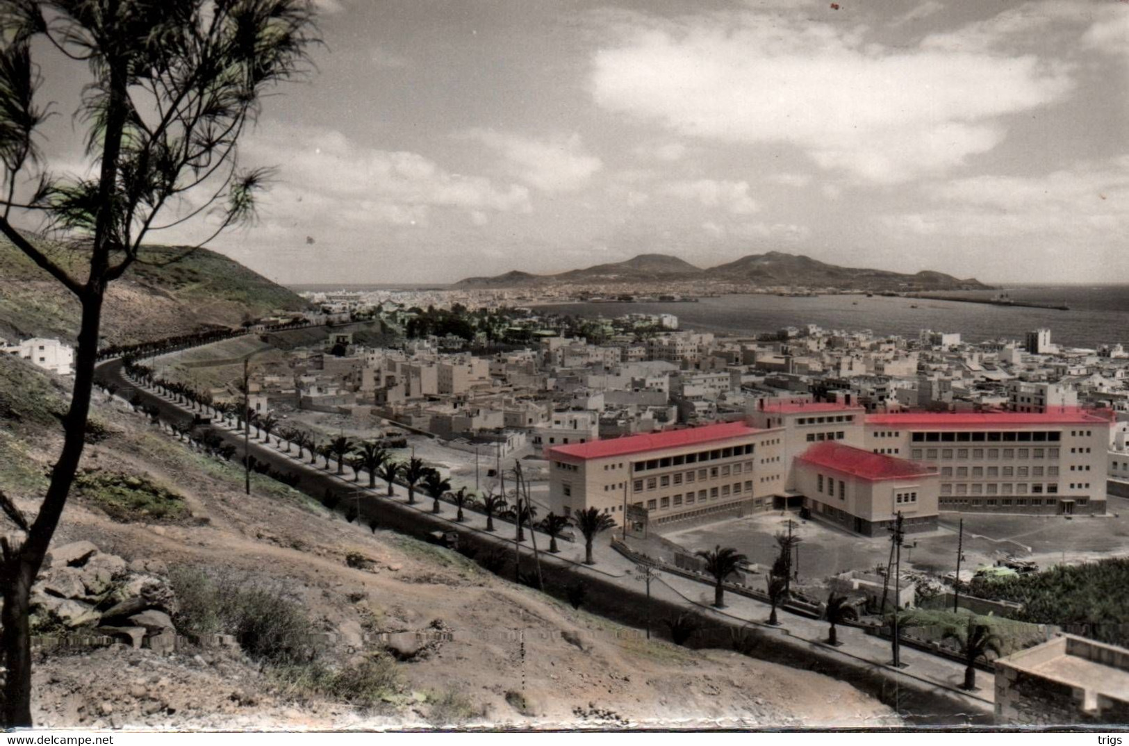 Las Palmas De Gran Canaria - Paseo Chil - La Palma