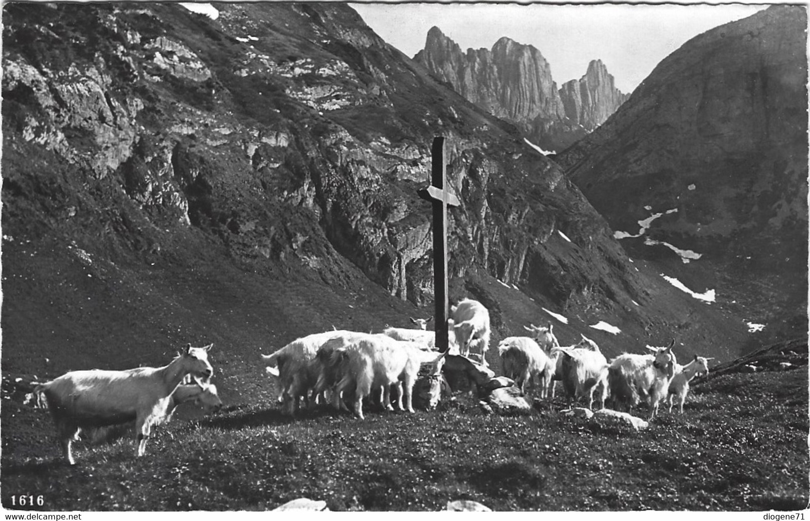 Kreuzberge Alpstein - Berg