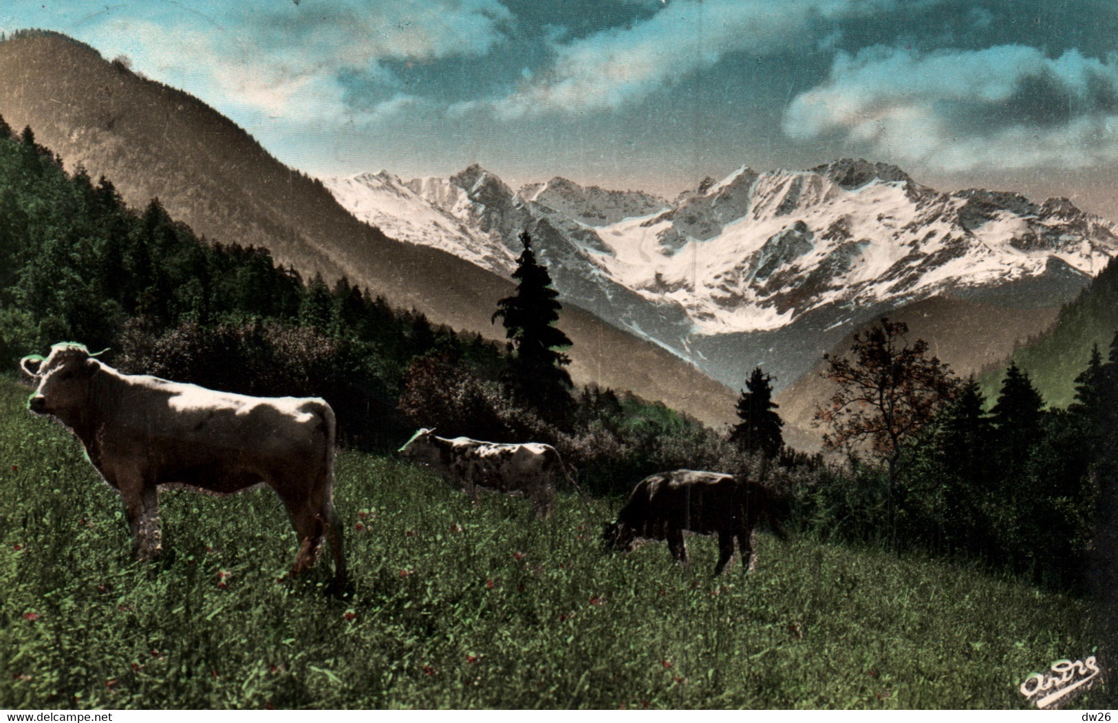 Alpes - Paysages Alpestres - Vaches Au Pâturage - Carte André Colorisée N° 523 - Rhône-Alpes