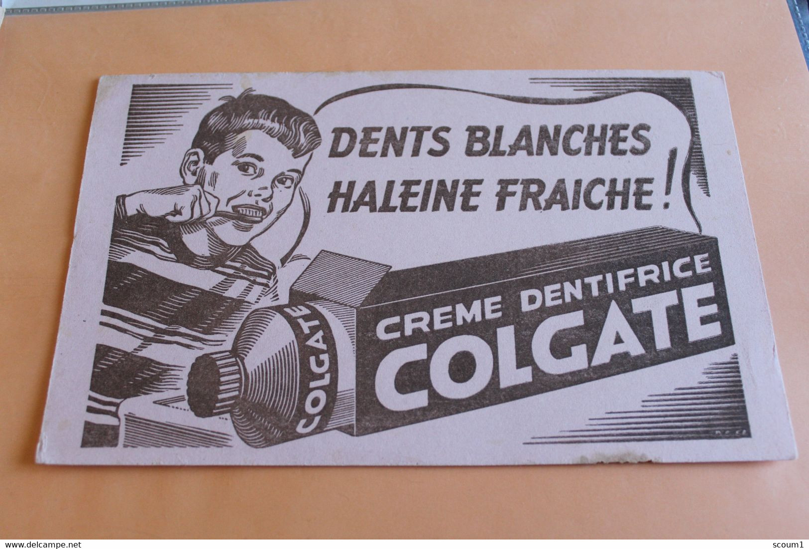 Colgate - Perfume & Beauty