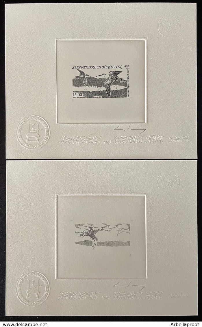 SAINT PIERRE & MIQUELON 1996 ARTIST PROOF + NEGATIVE " BIRDS- LE COURLIS" - Sin Dentar, Pruebas De Impresión Y Variedades