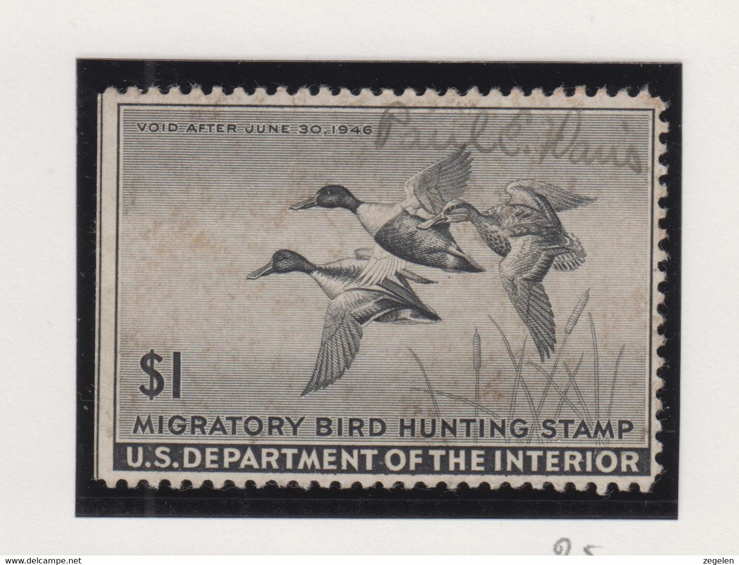 Verenigde Staten Scott Cataloog Duck Stamp RW12 - Duck Stamps