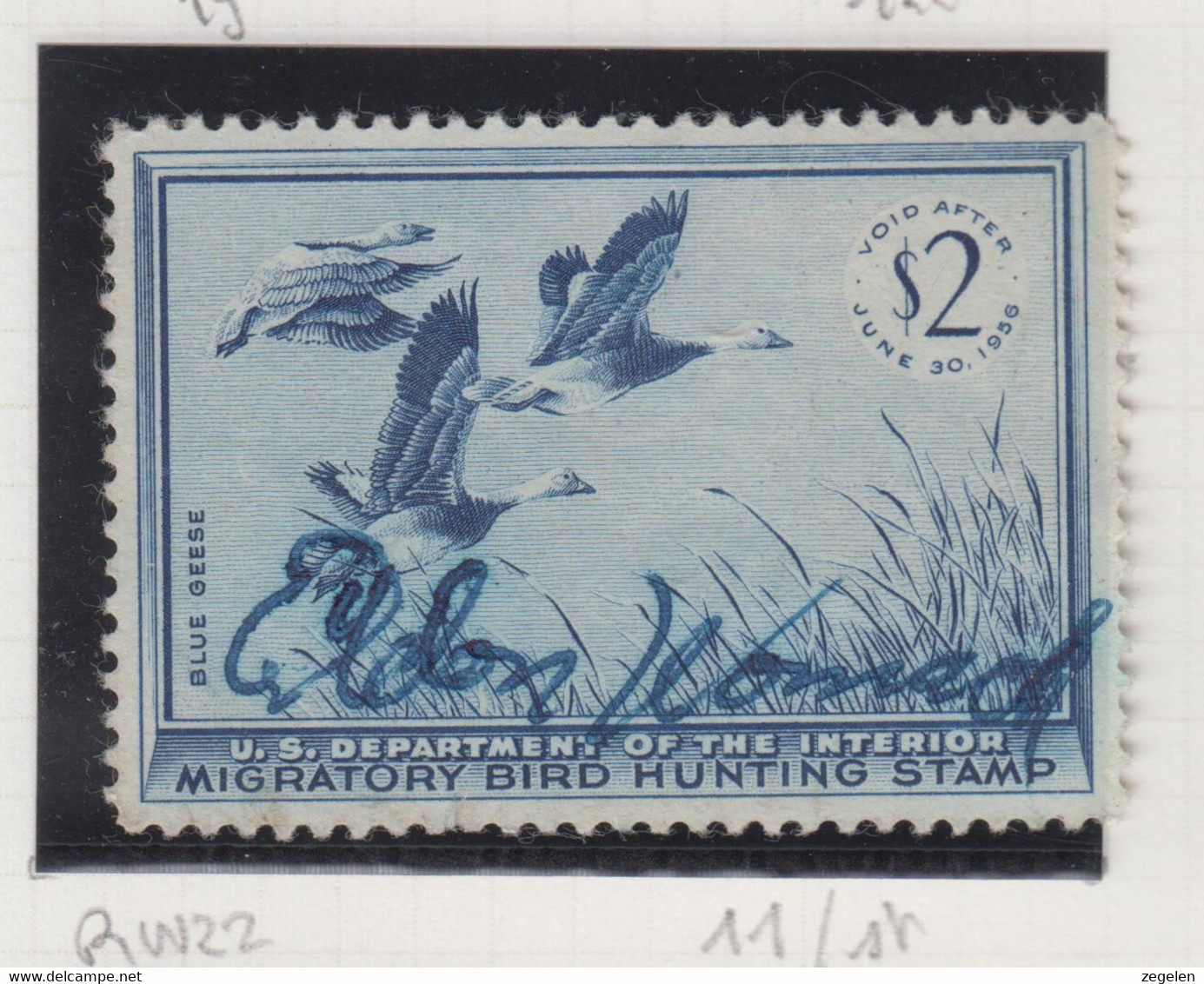 Verenigde Staten Scott Cataloog Duck Stamp RW22 - Duck Stamps