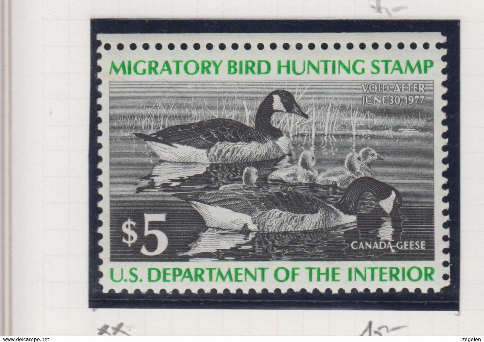 Verenigde Staten Scott Cataloog Duck Stamp RW43 MNH ** - Duck Stamps