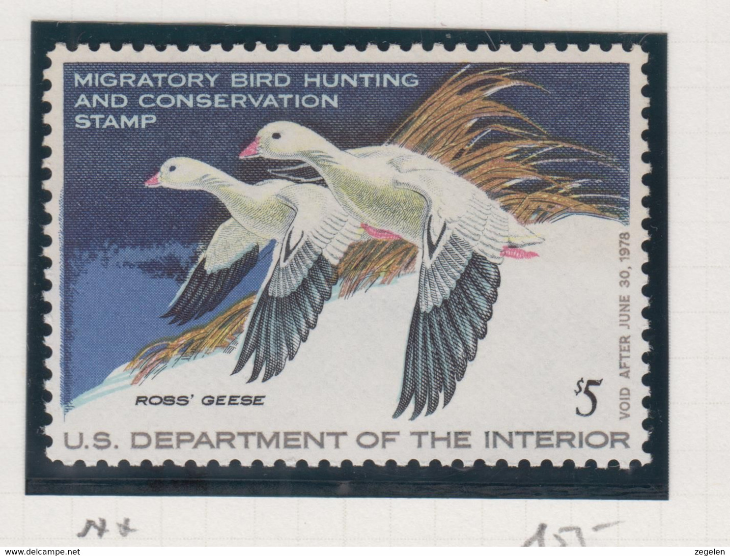 Verenigde Staten Scott Cataloog Duck Stamp RW44 MNH ** - Duck Stamps