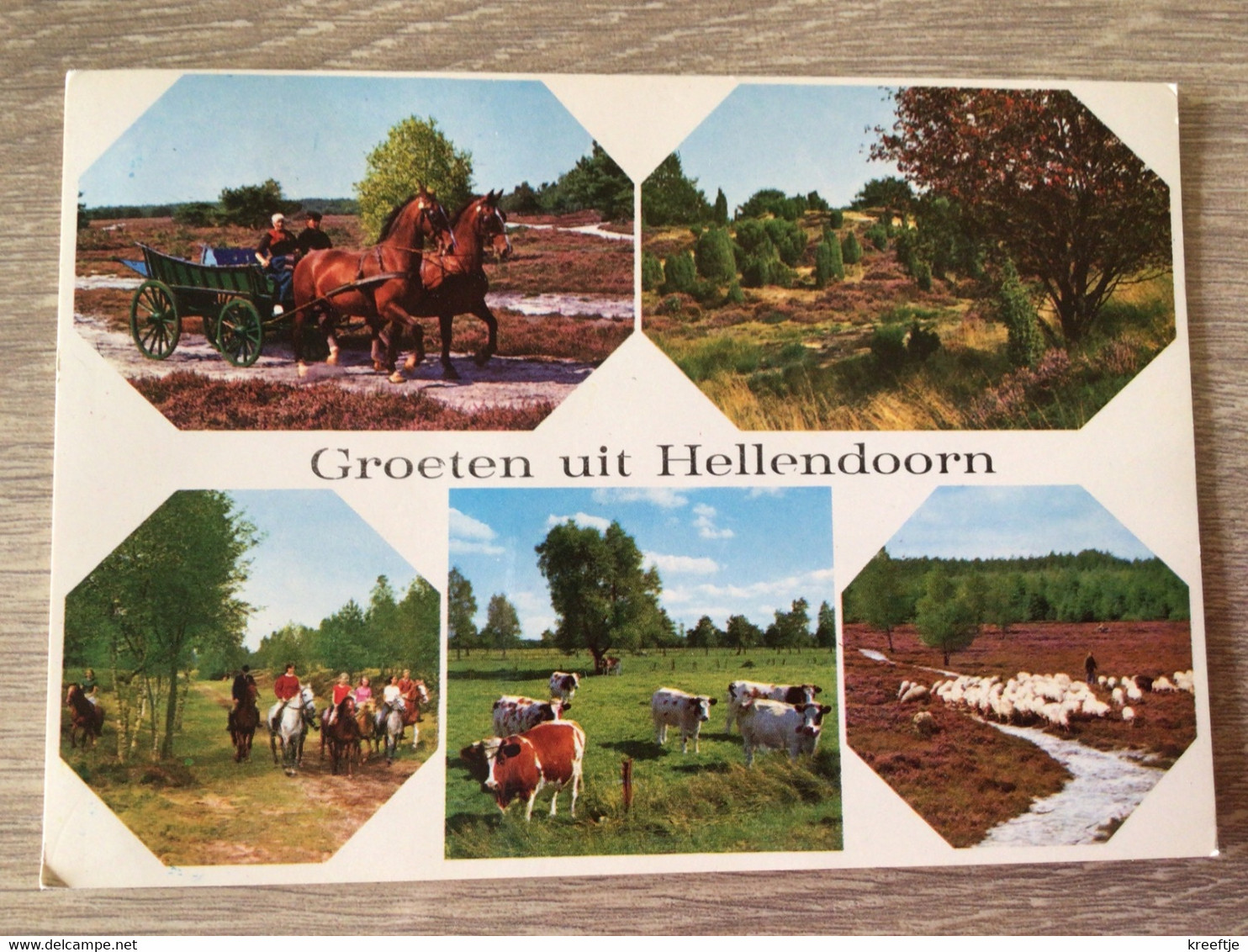 Nederland Groeten Uit Hellendoorn - Hellendoorn