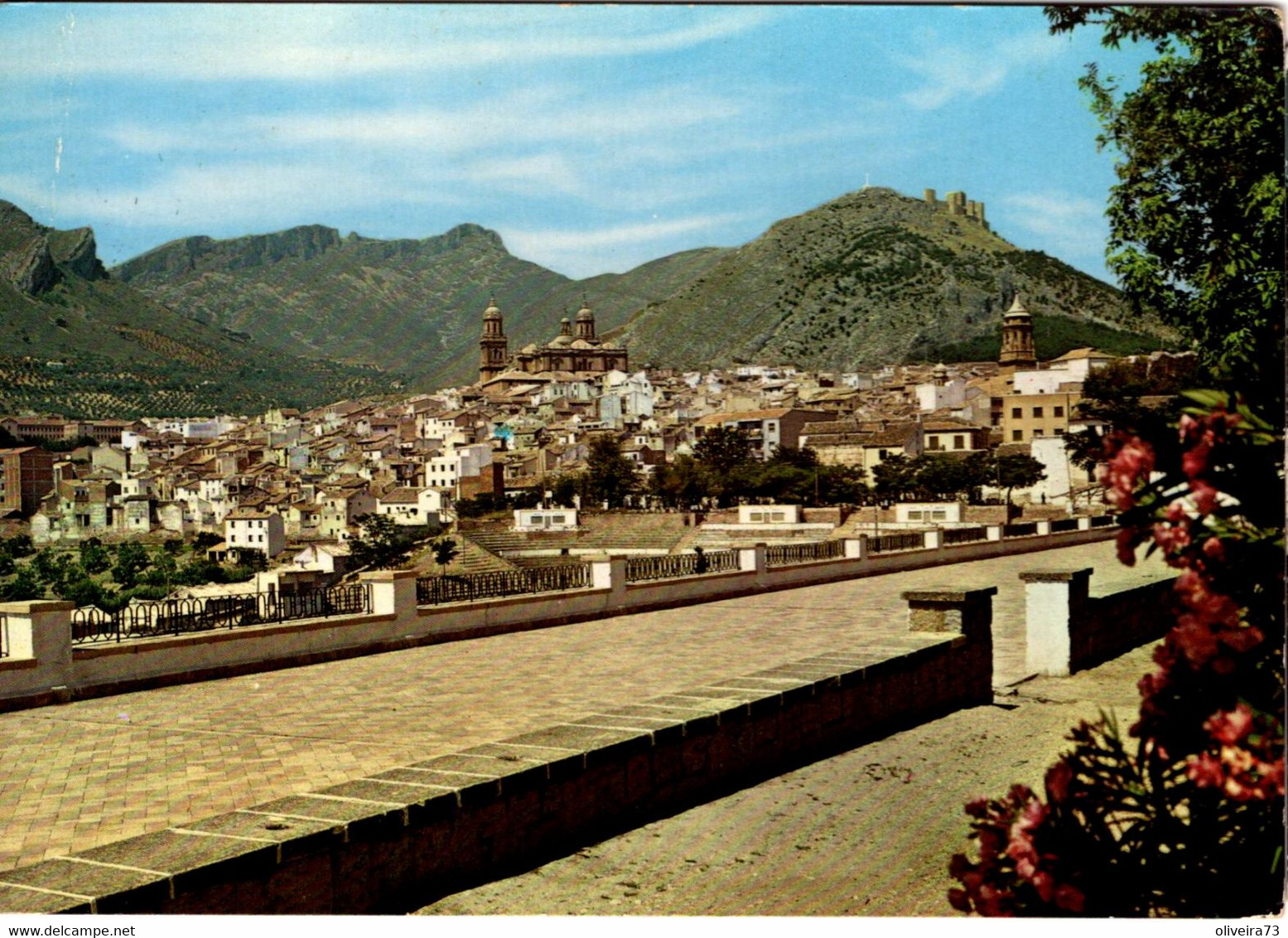 JAEN - Vista Parcial Desde La Alameda De Calve - Jaén