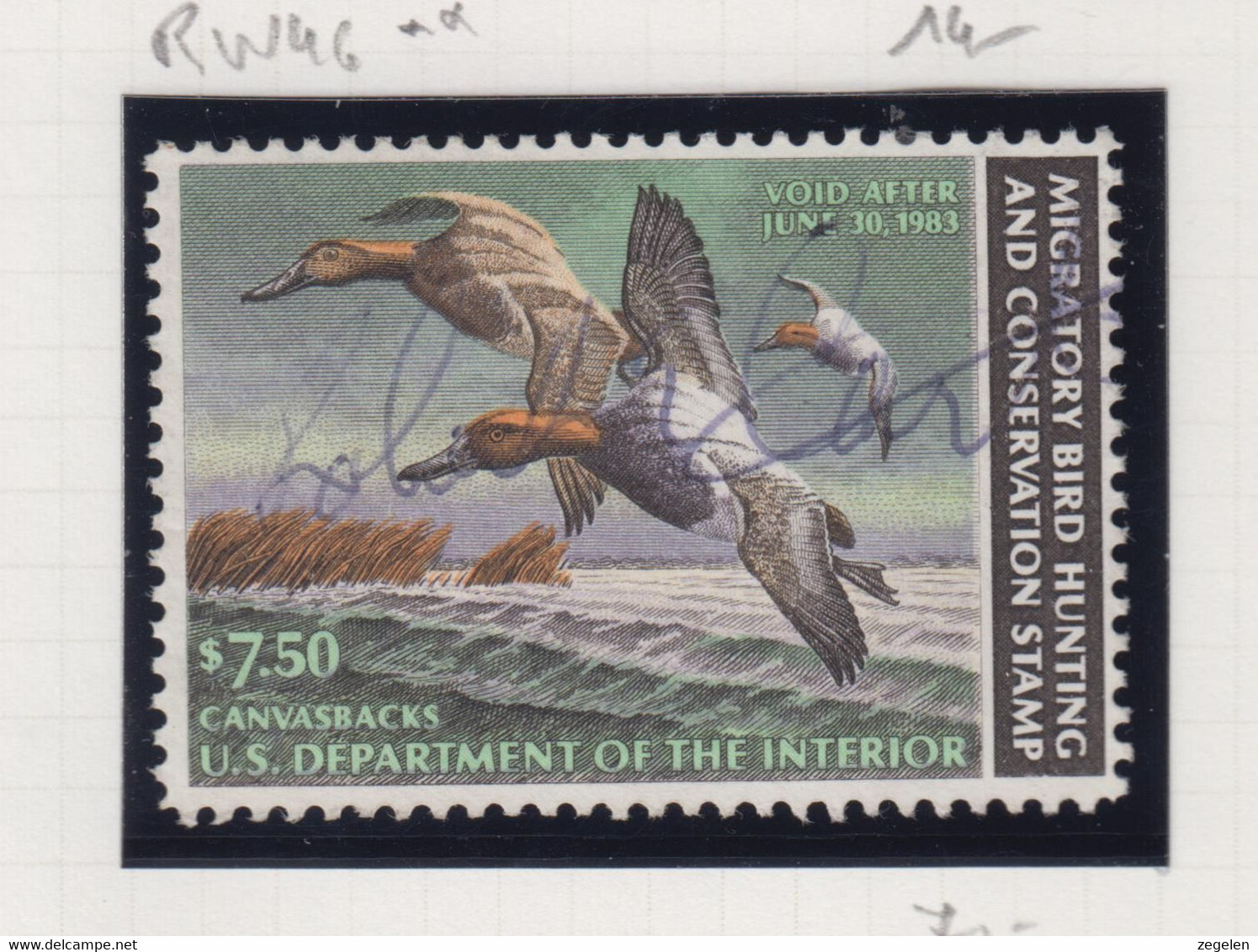 Verenigde Staten Scott Cataloog Duck Stamp RW49 - Duck Stamps