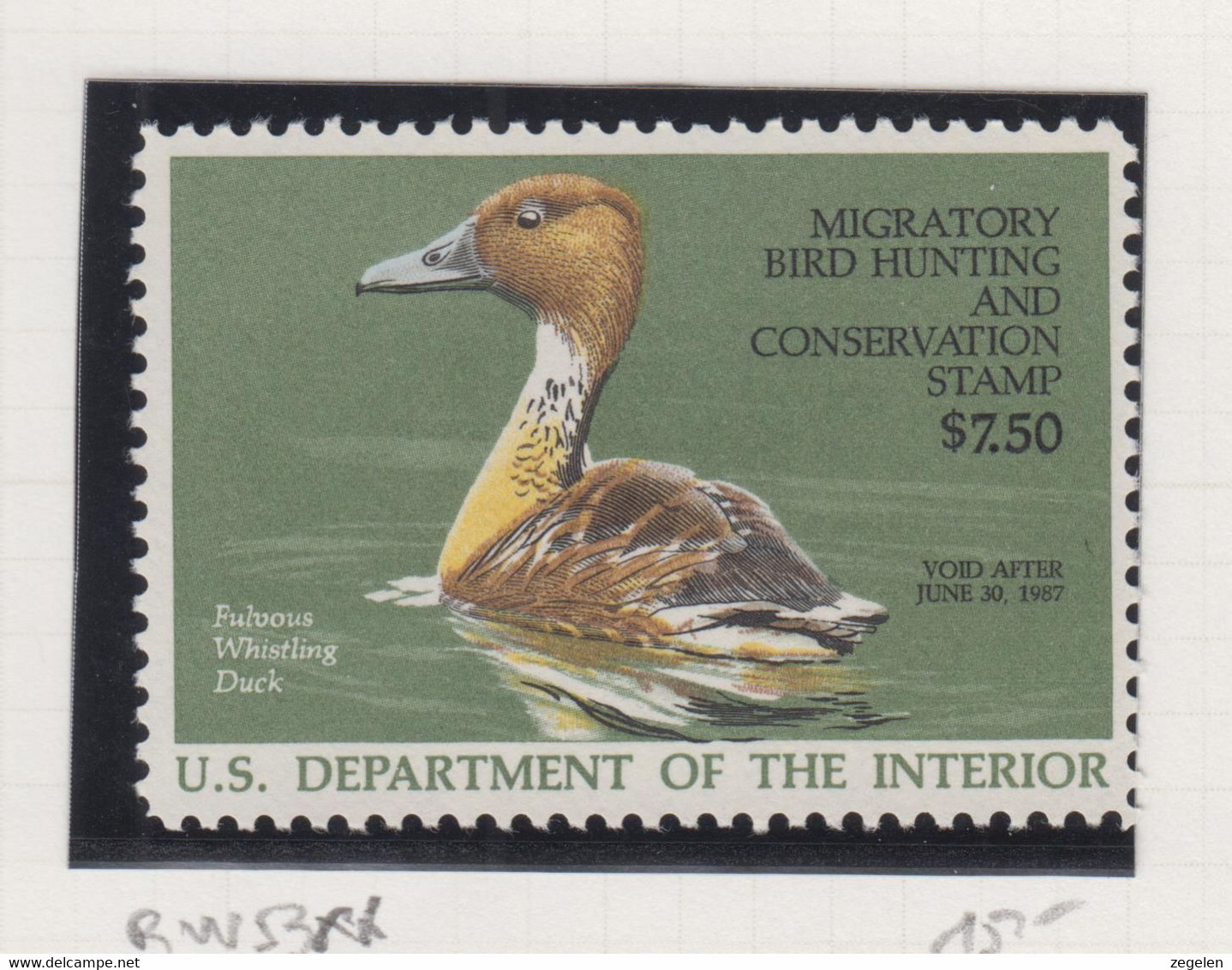 Verenigde Staten Scott Cataloog Duck Stamp RW53 MNH ** - Duck Stamps